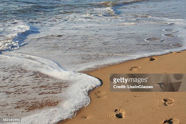 fußspuren im sand - footprints on beach australia stock-fotos und bilder