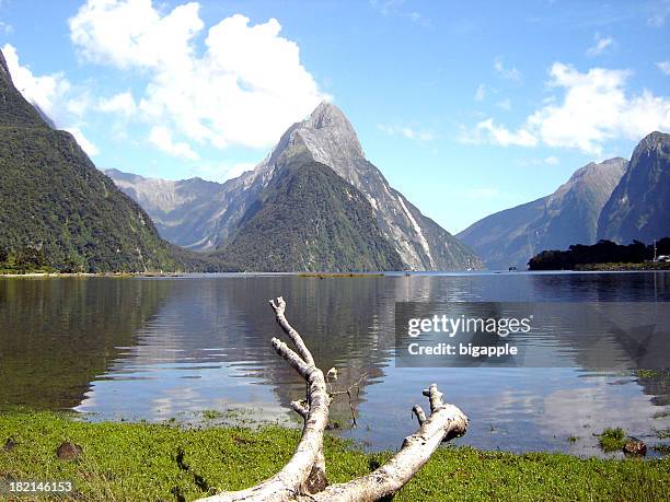 milford sound-nuova zelanda - new zealand foto e immagini stock