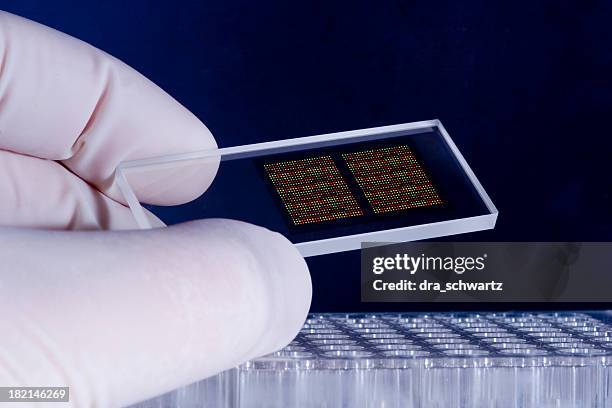 adn microarray chips - dna microarray fotografías e imágenes de stock