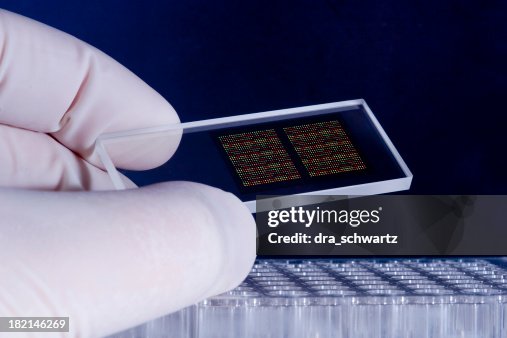 DNA microarray chips DNA microarray chips