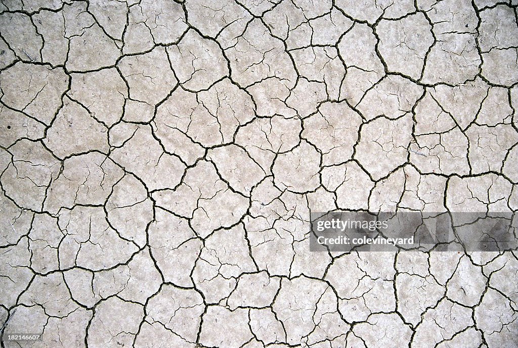 Close-up of a beige cracked surface