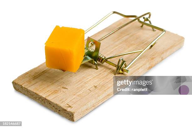 isolated mousetrap - cheese cubes stock pictures, royalty-free photos & images