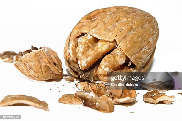 Broken Nut Shell Cracked Nutshell High-Res Stock Photo - Getty Images