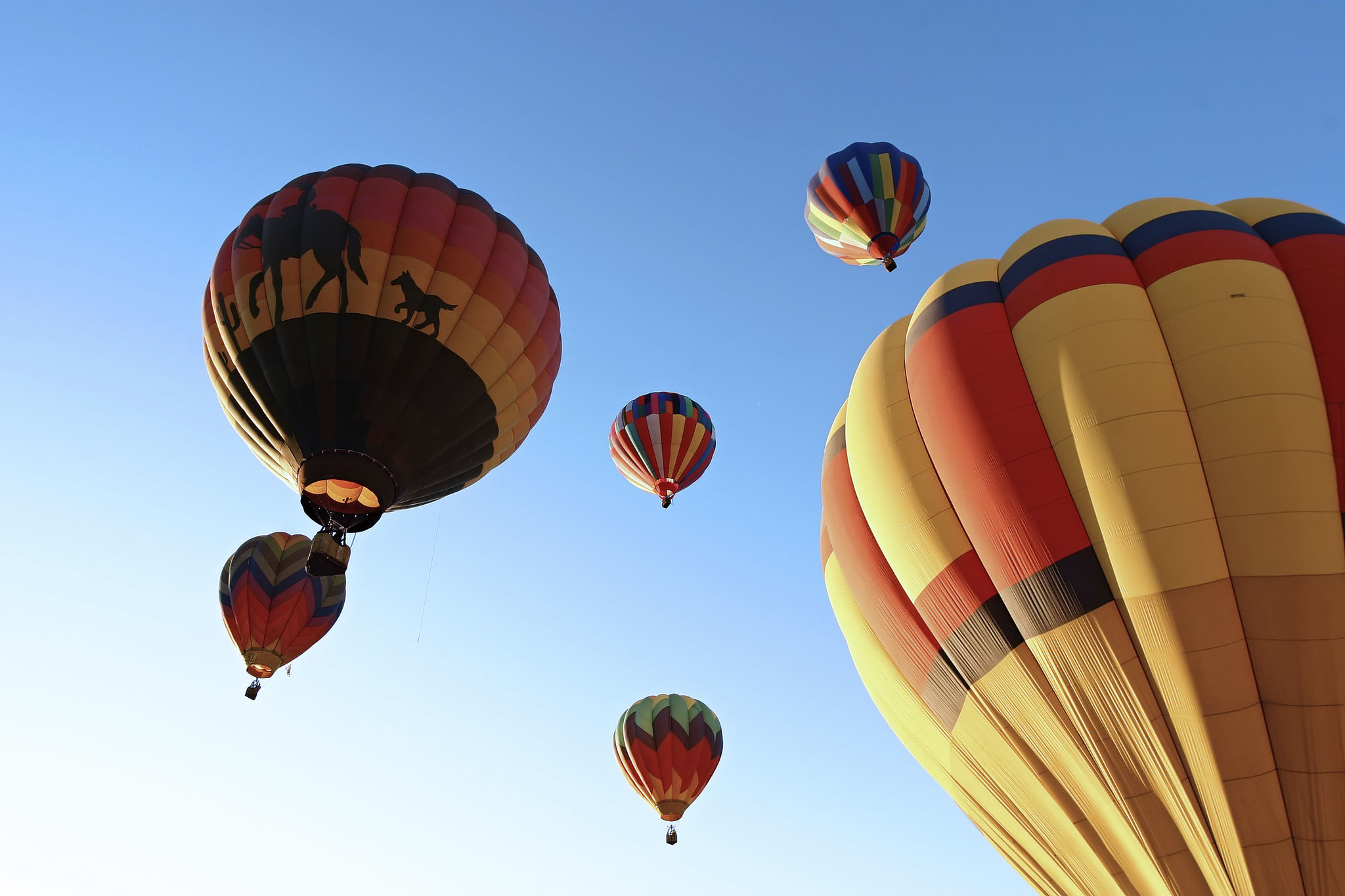 arizona fall festival
