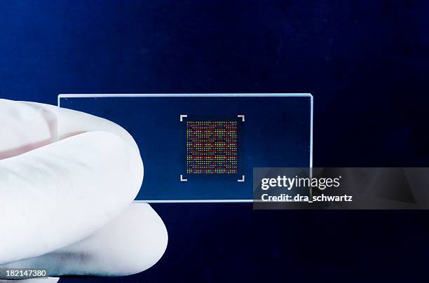 Dna Microarray Chip Original Dna Chip Photos and Premium High Res Pictures - Getty Images
