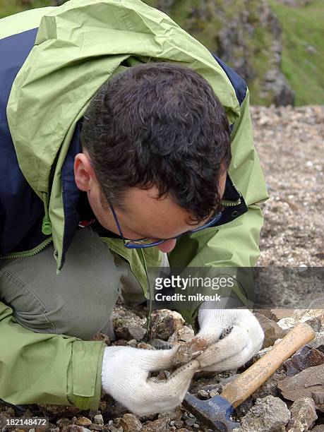 male geologist scientist looking close at rock sample in quarry - geoloog stockfoto's en -beelden