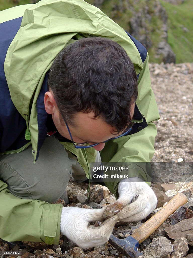 Geologists Looking At Rocks Male Geologist Scientist Looking Close At Rock Sample In Quarry High ...