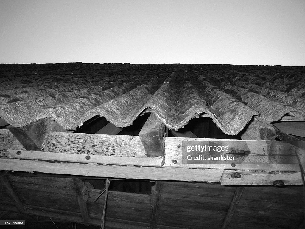 Crusty farm roof