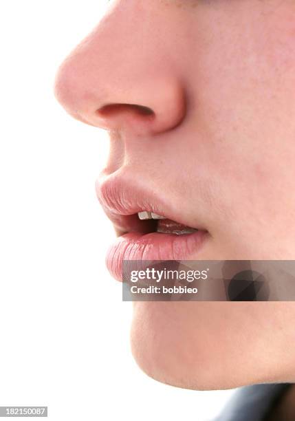 the speaker - human nose profile stock pictures, royalty-free photos & images