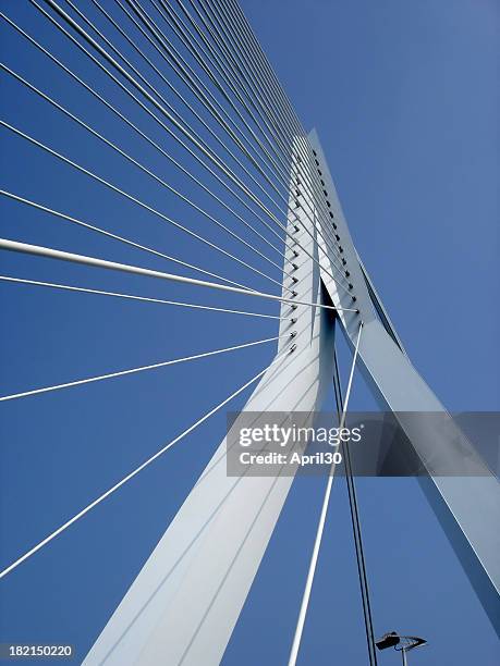 3,790 Bridge Of Strings Stock Photos, High-Res Pictures, and Images ...