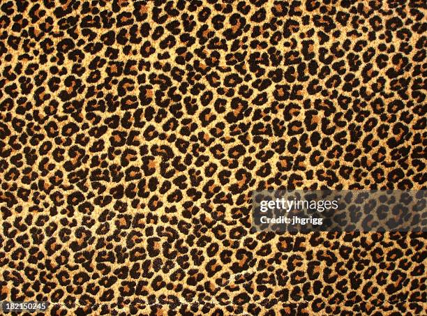 leopard print 2 - animal colour stock pictures, royalty-free photos & images