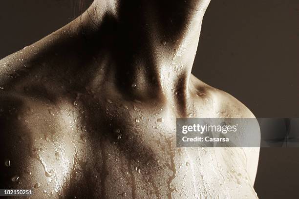 wet 1 - hot body stock pictures, royalty-free photos & images