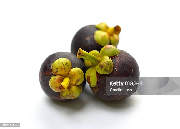mangostan - exotic fruit - mangosteen 個照片及圖片檔