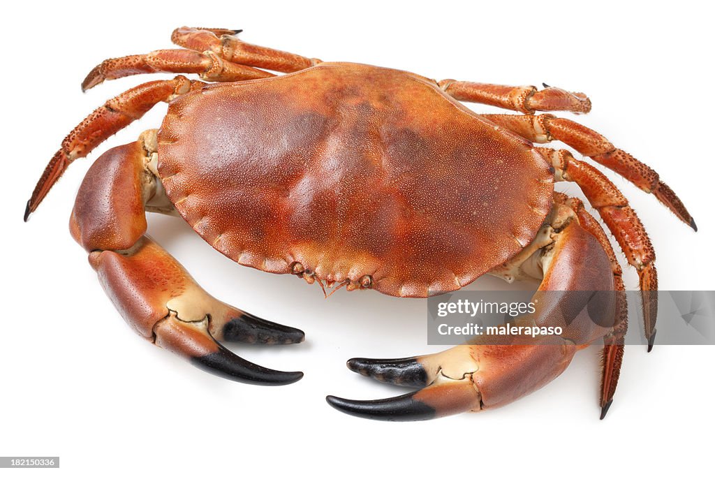 Crab