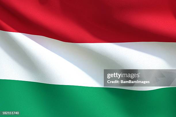 gros plan de drapeau-hongrie - hungarian culture photos et images de collection