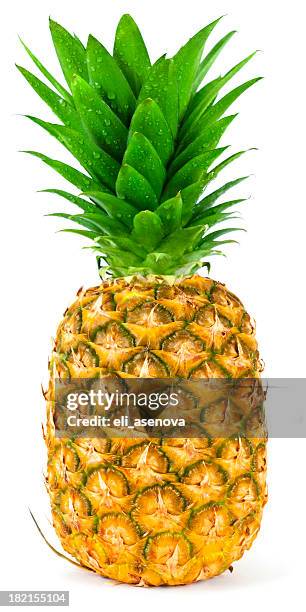 ripe pineapple isolated - ananas bildbanksfoton och bilder