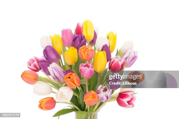 bouquet of tulips isolated on white - tulp stockfoto's en -beelden