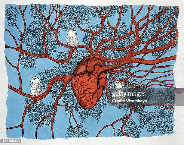 stockillustraties, clipart, cartoons en iconen met heart tree - heart internal organ