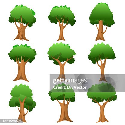 Tree vector set Tree vector set