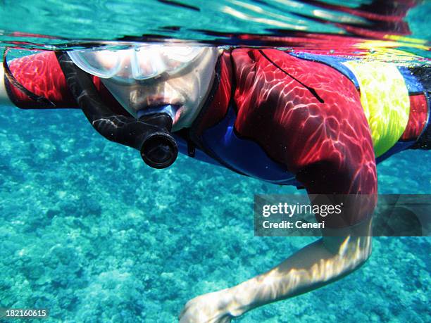 man snorkeling with wetsuit underwater in maui, hawaii - molokini snorkel stock pictures, royalty-free photos & images