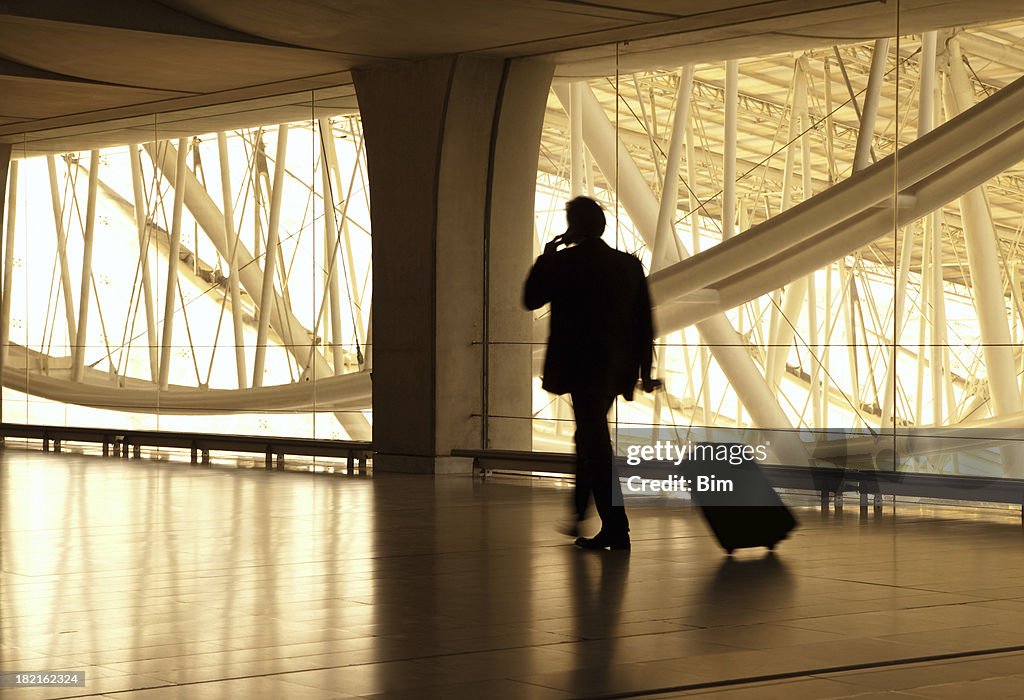 Turva Empresário no aeroporto, puxando mala usando Telefone Móvel
