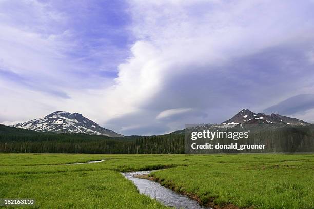 cascade meadow - river deschutes stock pictures, royalty-free photos & images