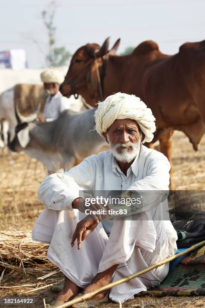 senior asian bedouin man portrait - old bedouin stockfoto's en -beelden
