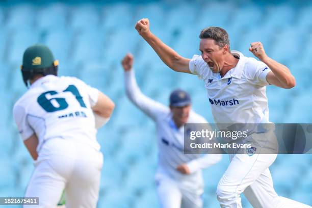 Chris Tremain of the Blues celebrates the wicket of Tim Ward of the Tigers, caught out by Matthew Gilkes of the Blues during the Sheffield Shield...