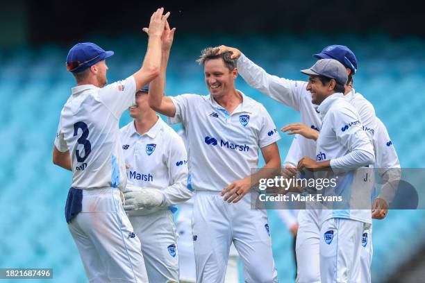 Chris Tremain of the Blues celebrates his fifth wicket with team mates, getting out Mitchell Owen of the Tigers during the Sheffield Shield match...