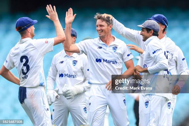 Chris Tremain of the Blues celebrates his fifth wicket with team mates, getting out Mitchell Owen of the Tigers during the Sheffield Shield match...