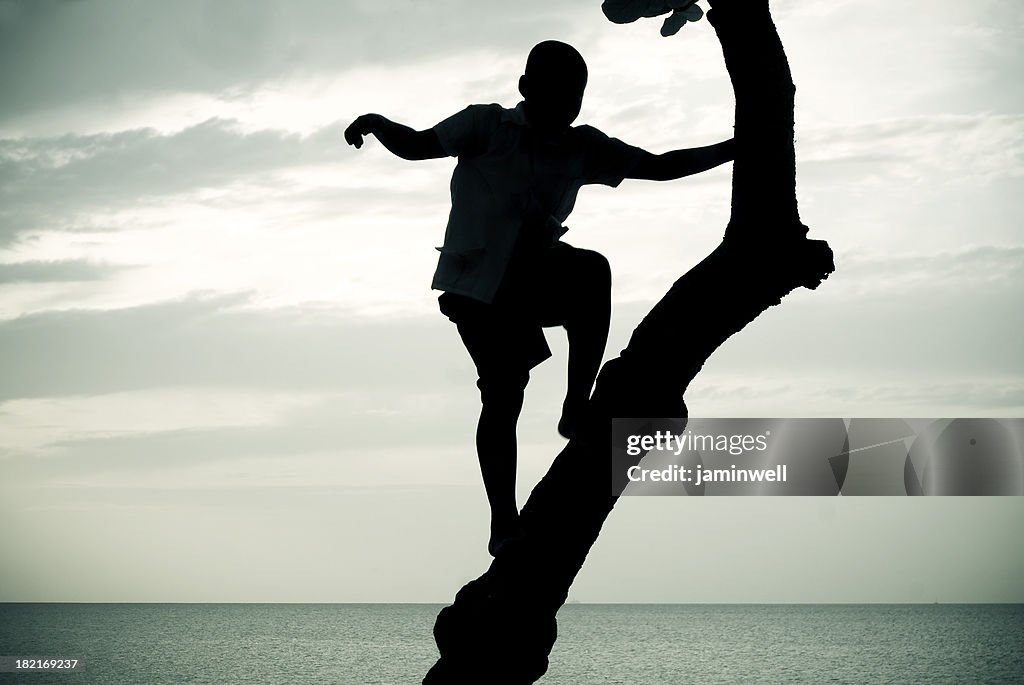 Silhueta de menino Árvore de escalada contra mar Linha do horizonte