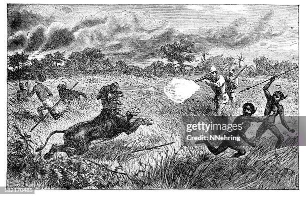charge of lioness engraving - lion black and white stock illustrations