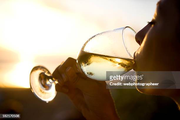 degustazione di vino - sunlight through drink glass foto e immagini stock