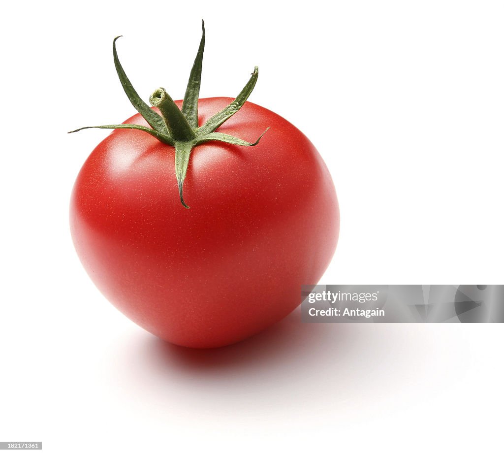 Tomato