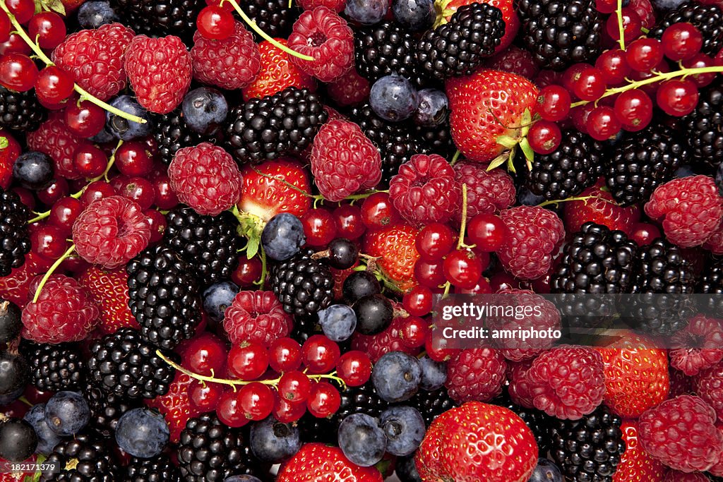 Variety of fresh berries