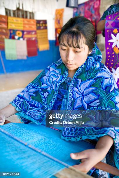 portrait in blue - mexican textile stock pictures, royalty-free photos & images