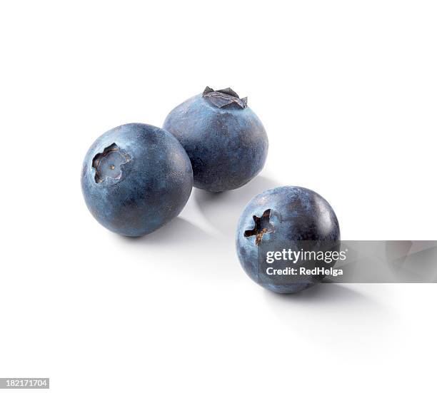 three blueberries on a white background - blåbär bildbanksfoton och bilder