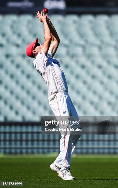 Liam Scott of the Redbacks catches Fergus O'Neill of the Bushrangers during the Sheffield Shield match between South Australia and Victoria at...
