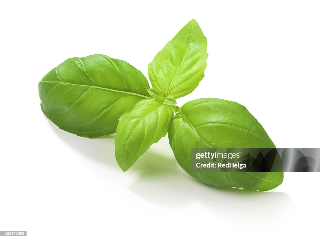 Basil Leafs