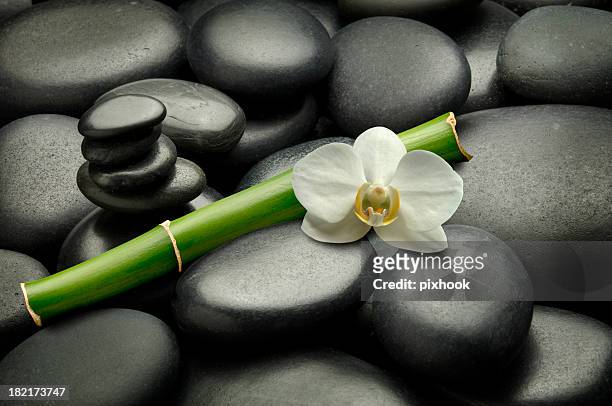 feng shui luxury - orchid arrangement stock pictures, royalty-free photos & images