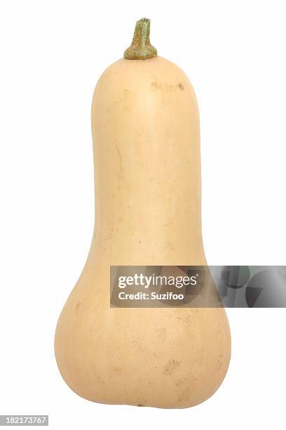 butternut squash - gourd bildbanksfoton och bilder