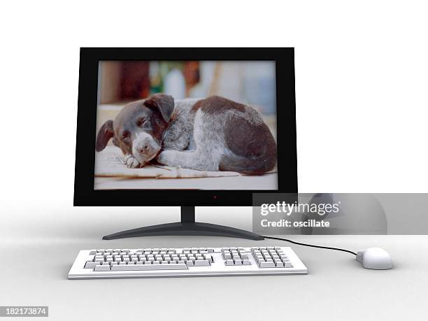 lcd monitor front on - oscillare stock pictures, royalty-free photos & images