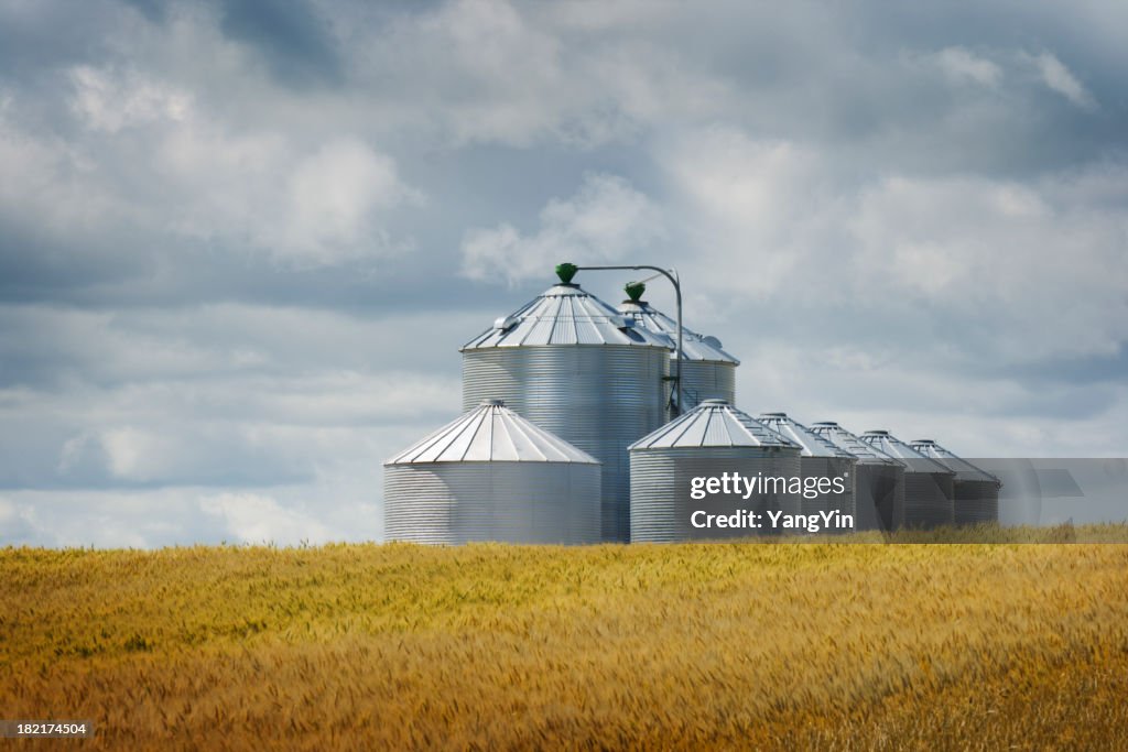 Grain Silos von Weizen Feld Landschaft mit landwirtschaftlichen Crop Harvest