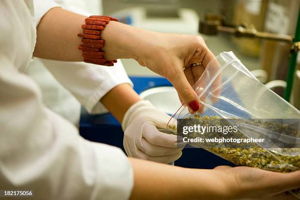 dried camomile flowers - chamomile tea 個照片及圖片檔