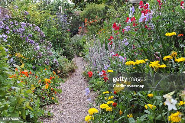 inglés jardín cerrado - perennial fotografías e imágenes de stock