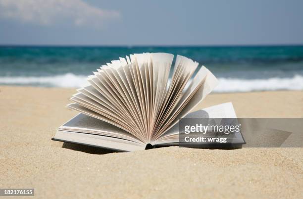 leggere un libro su una spiaggia di sabbia - sfogliare libro foto e immagini stock