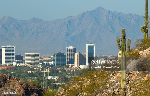 phoenix skyline and cactus - phoenix arizona stockfoto's en -beelden