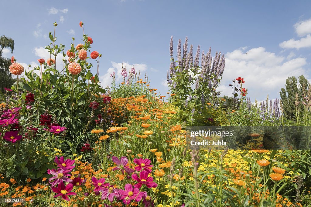 Bloomy Garten