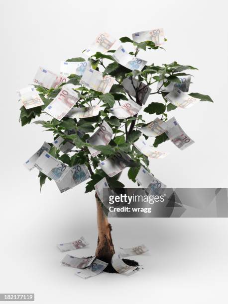 euro money tree - twenty euro note 個照片及圖片檔