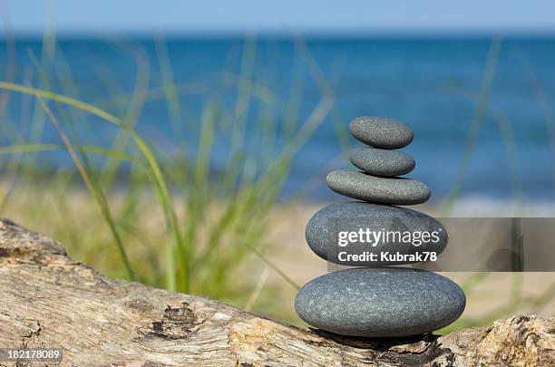 ocean zen - drijfhout stockfoto's en -beelden